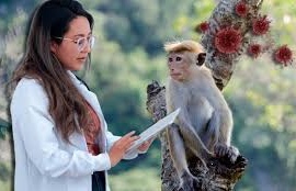 О профилактике оспы обезьян для выезжающих за рубеж
