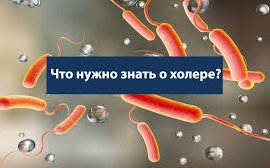 Что нужно знать о Холере