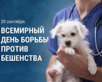 28 сентября - Всемирный день борьбы с бешенством!