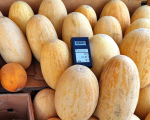 О фактах выявления продукции, не соответствующей требованиям