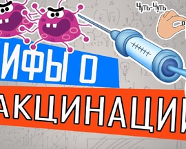Часто встречаемые мифы о вакцинации.